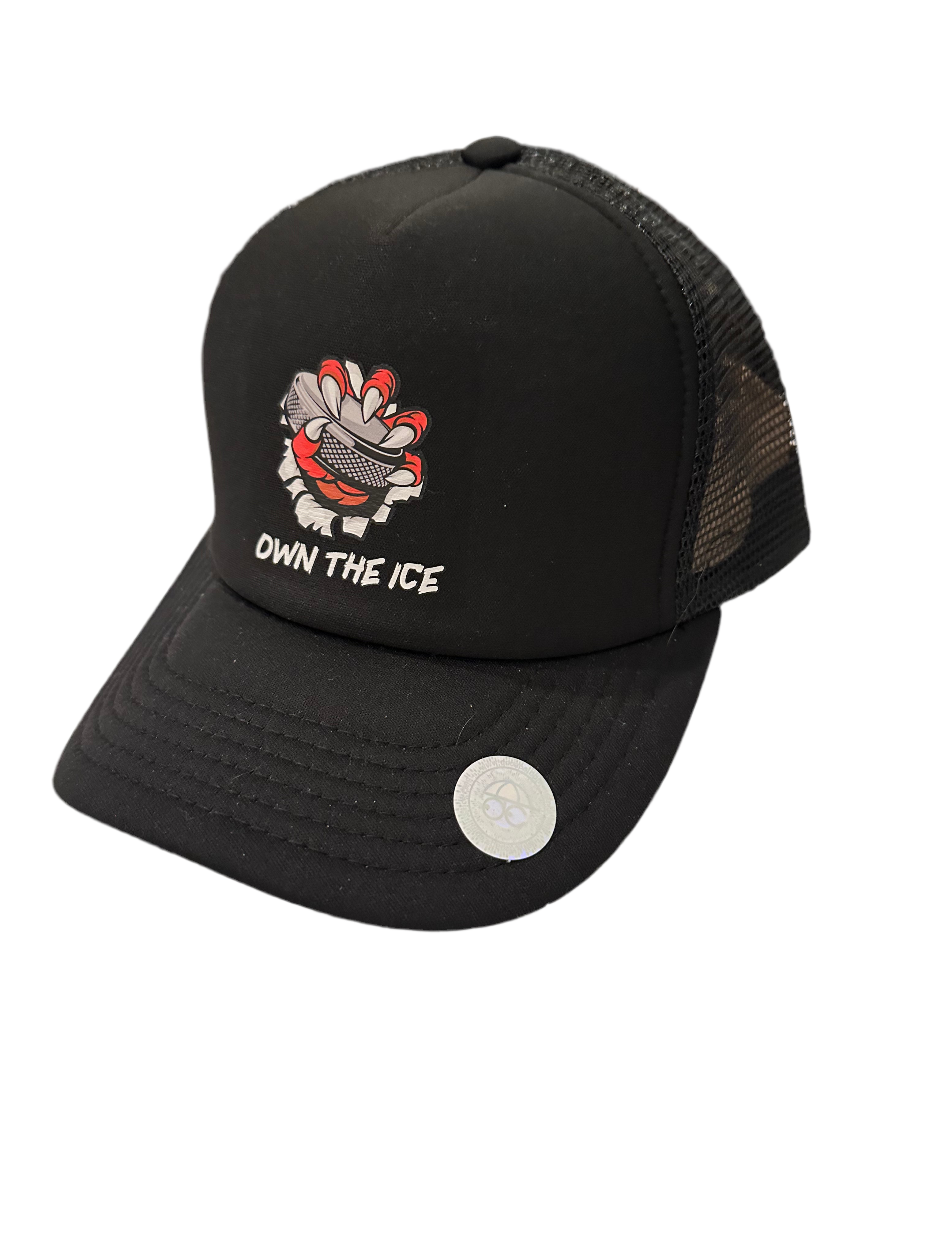 Own The Ice Swag